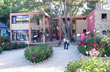 Paseo florido - Photo: Pablo Etchevers