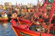 Barcos pesqueros - Photo: Pablo Etchevers Barcos pesqueros - Photo: Pablo Etchevers