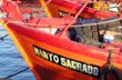 Manto sagrado - Photo: Pablo Etchevers Manto sagrado - Photo: Pablo Etchevers