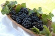 Fruit from Tunuy�n - Photo: Pablo Etchevers