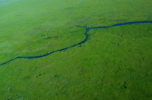L�neas de agua dulce - Autor: Pablo Etchevers