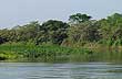 Paisaje del r�o - Foto: Pablo Etchevers