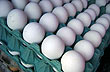 Huevos caseros - Photo: Pablo Etchevers Huevos caseros - Photo: Pablo Etchevers