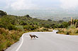 Paisaje en las sierras - Foto: Eduardo Epifanio