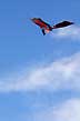 P�jaro artificial - Photo: Santiago Gaudio