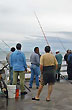 Buen pique en el muelle - Photo: Santiago Gaudio
