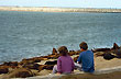 Contemplando los lobos - Foto: Cristina Sabaliauskas - Welcomeargentina.com