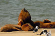 Playas del puerto - Foto: Jorge Gonz�lez