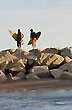 Buscando las mejores olas - Photo: Santiago Gaudio Buscando las mejores olas - Photo: Santiago Gaudio