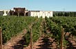 Vista de la bodega - Photo: Jorge Gonz�lez
