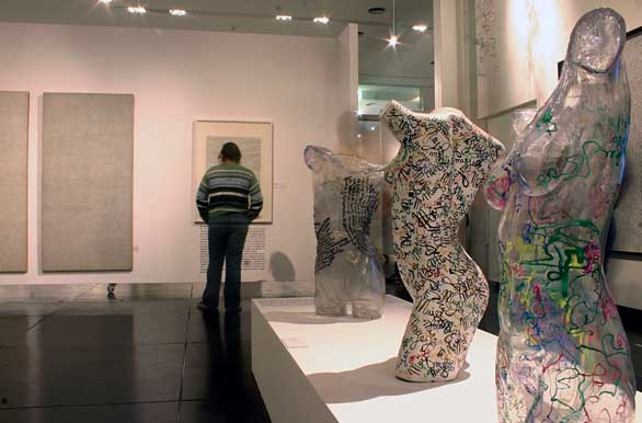 Museo Nacional Bellas Artes - Autor: Santiago Gaudio