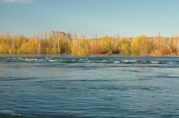 Caudaloso y cristalino Limay - Autor: Jorge Gonz�lez