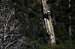 Monumental obra de ingenier�a, Dique La Vi�a - Photo: Eduardo Epifanio