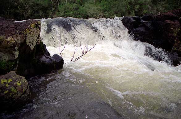 Arroyo Toro - Autor: Santiago Gaudio