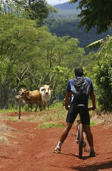 Salida en mountain bike por los caminos de chacras - Autor: Santiago Gaudio