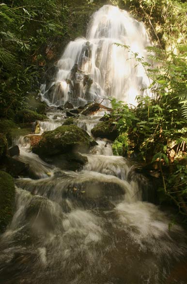Salto de agua en selva de bi�sfera - Autor: Santiago Gaudio