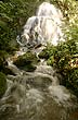 Salto de agua en selva de biósfera - Foto: Santiago Gaudio Salto de agua en selva de biósfera - Foto: Santiago Gaudio