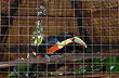 Jard�n de los Pajaros - Photo: Jorge Gonz�lez