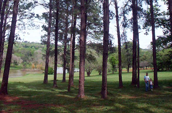 Parque salto Berrondo - Autor: Marcelo Sola