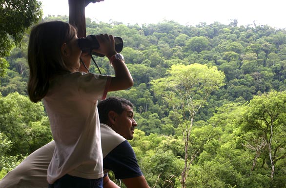 Observaci�n de aves desde el mangrullo - Autor: Santiago Gaudio