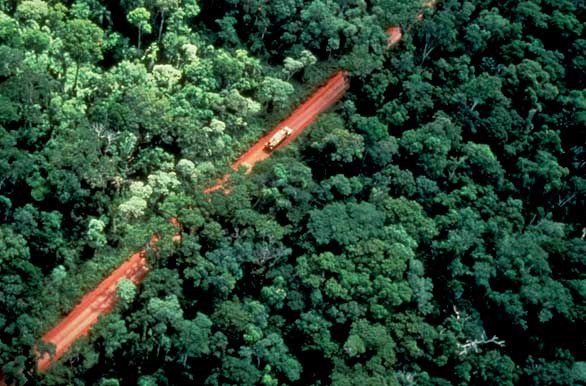 Una cicatriz en la selva - Autor: Secretar�a de Turismo de la Naci�n