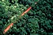 Una cicatriz en la selva - Foto: Secretaría de Turismo de la Nación Una cicatriz en la selva - Foto: Secretaría de Turismo de la Nación
