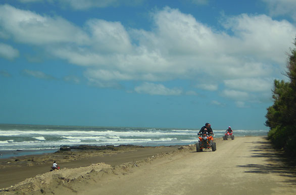 Paseos en cuatri - Autor: Jorge Gonz�lez