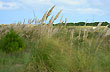 Paisaje de la zona - Photo: Cristina Sabaliauskas - Welcomeargentina.com
