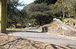 Calles de las barrancas - Foto: Jorge Gonz�lez