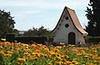 Jardin Rosedal - Foto: Jorge Gonz�lez