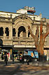 Arbol de la vida - Foto: Jorge Gonz�lez