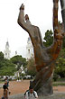 Plegaria del árbol - Photo: Karina Jozami Plegaria del árbol - Photo: Karina Jozami