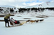 Paseo en trineos de nieve