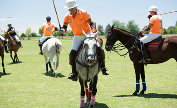 Argentina Polo Day, every day of the year