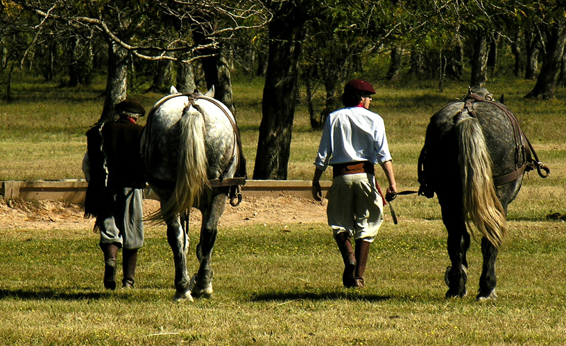 The gauchos or rural men