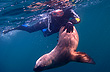 The Capital of Scuba Diving