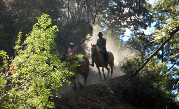 On Horseback to Coa-C Cascade
