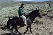 Exploring Trevelin on Horseback 