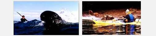 Sea Kayak en Cabo Blanco