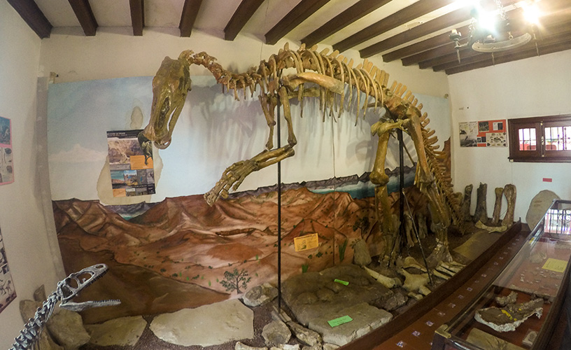 Carnivorous dinosaur that lived in Patagonia