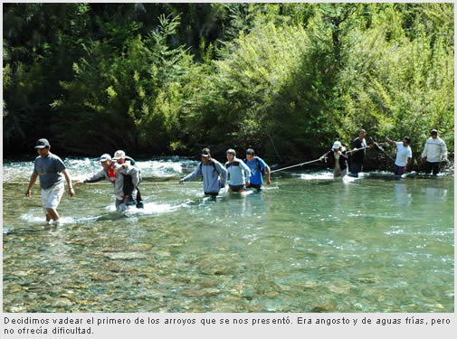 Cascada Ñivinco