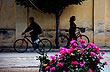 Everyday Life of a Mystical Town