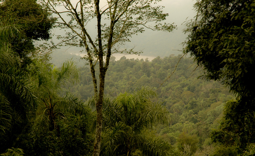 Yabotí Biosphere Reserve