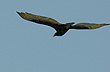 Tour around Las Gaviotas 