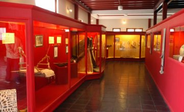 Cultural Treasures in the Regional Museum 