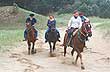 Cabalgatas por Pinamar y sus alrededores