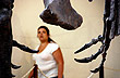 Un museo dedicado a los dinosaurios en El Choc�n