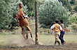 Fiesta Nacional del Puestero 2012
