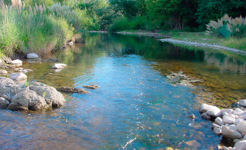 San Bernardo Creek