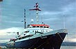 Staten Island Expedition Cruise